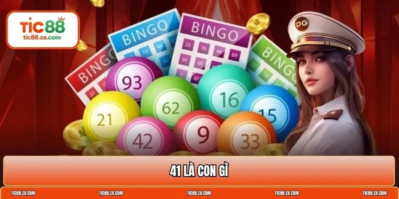 41 là con gì