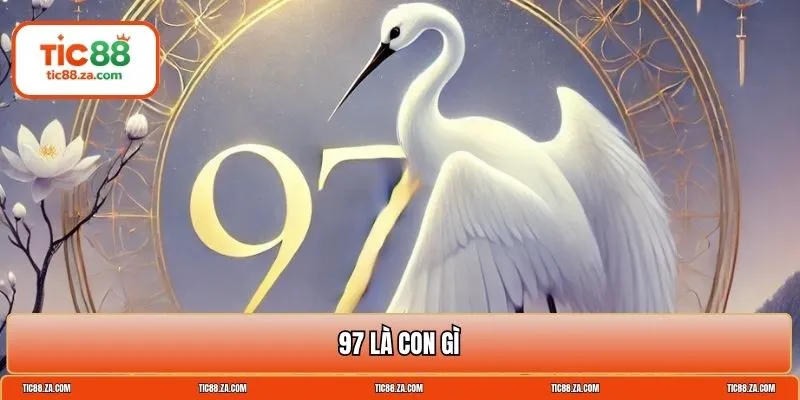 97 là con gì